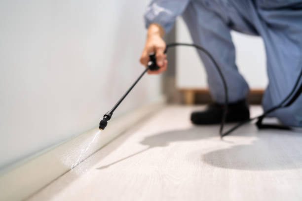 Licensed Termite Control service in Centerville, MN - Nex Pest Control