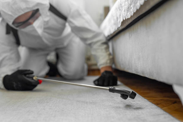 Professional Termite Control technician working in Centerville, MN
