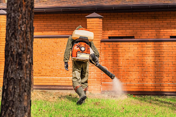Trusted Termite Control service in Centerville, MN - Nex Pest Control